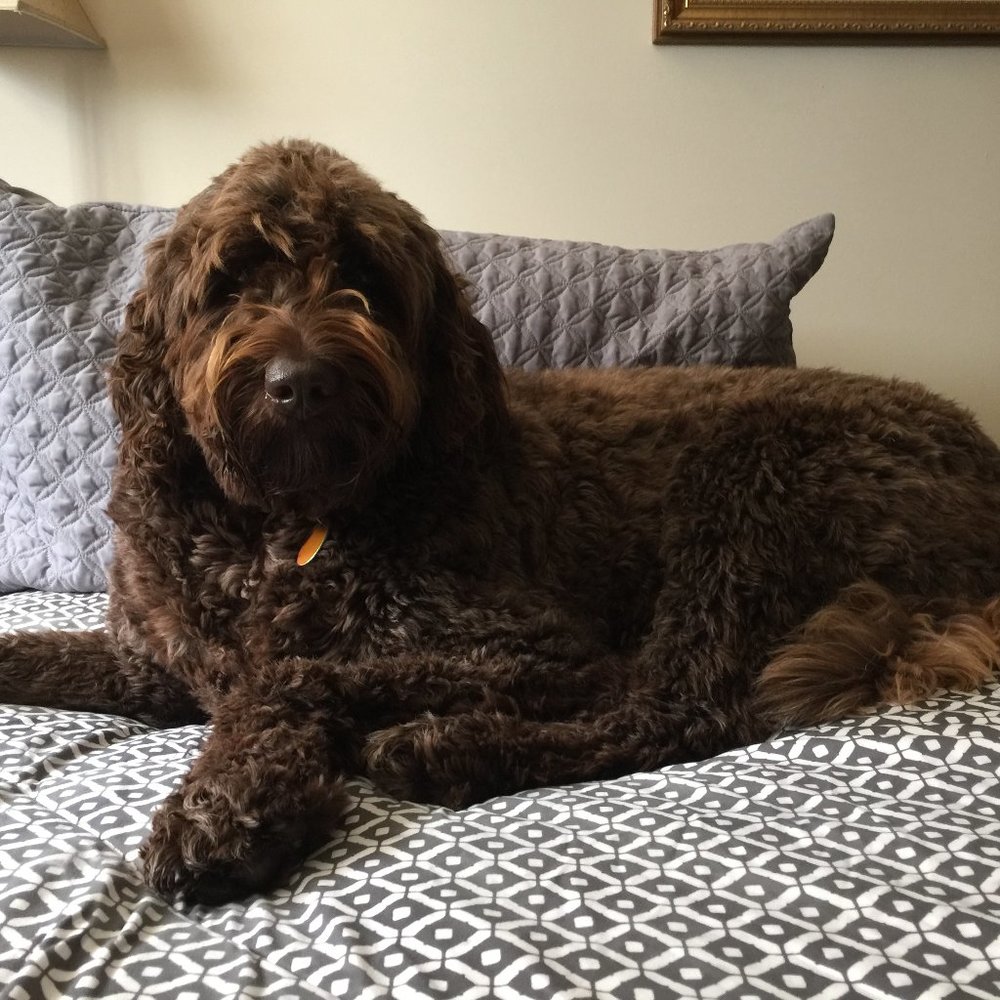 Meet your Posher, LoveSparkle 💕